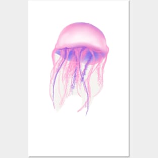 Jellyfish Posters and Art